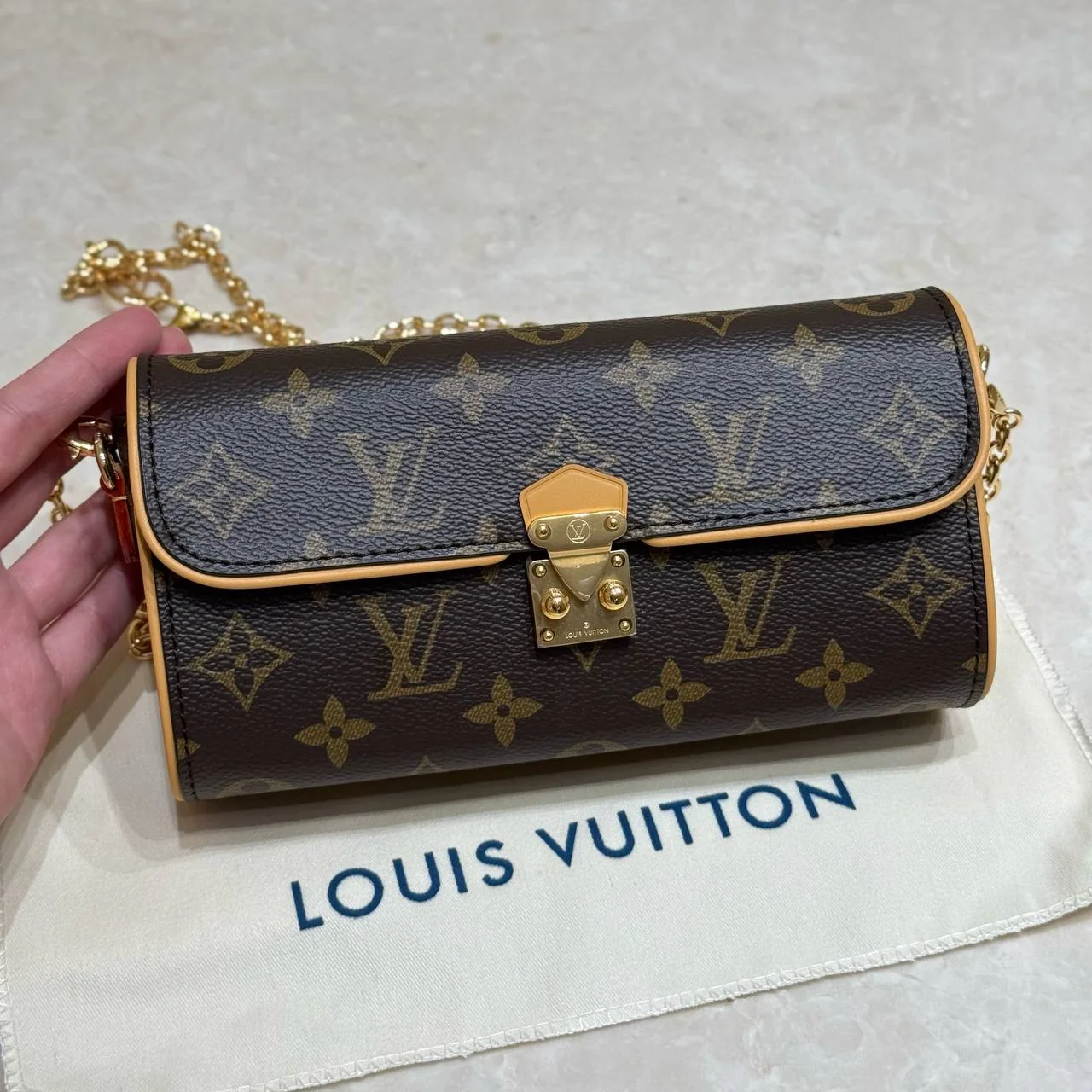 Жіноча сумка-Louis Vuitton